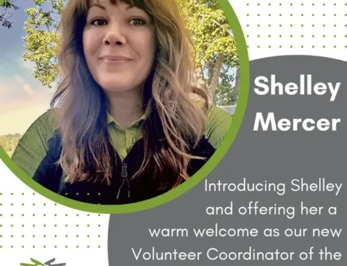 Welcome Shelley!