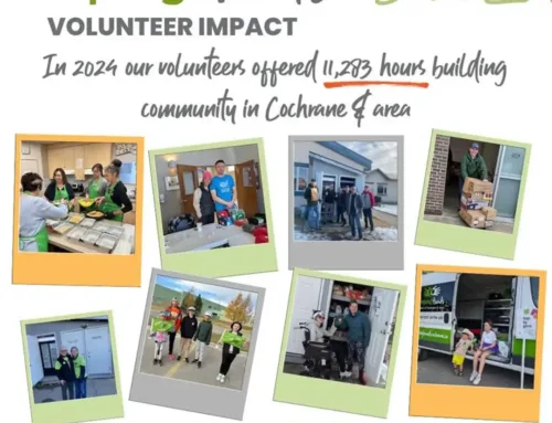 Volunteer Impact 2024!